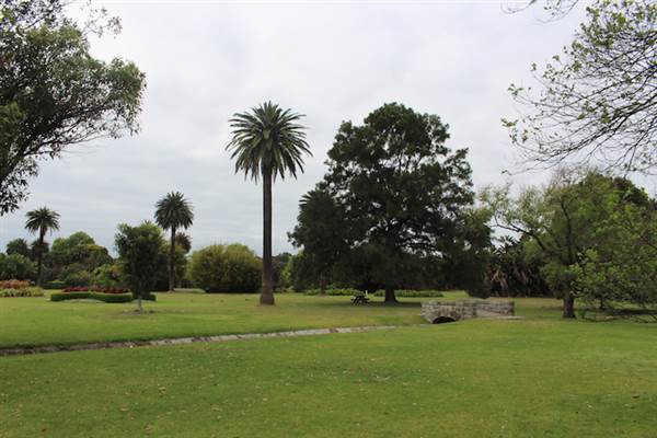Centennial Park - Frog Hollow (24/10/2014)