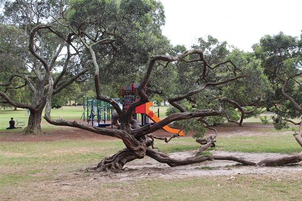Learners Cycleway Playground - Centennial Park (24/10/2014)