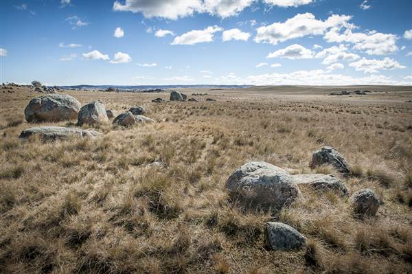 Monaro Plains (14/11/2014 - Credits: Colin McDougall)