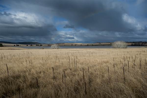 Monaro Plains (14/11/2014 - Credits: Colin McDougall)