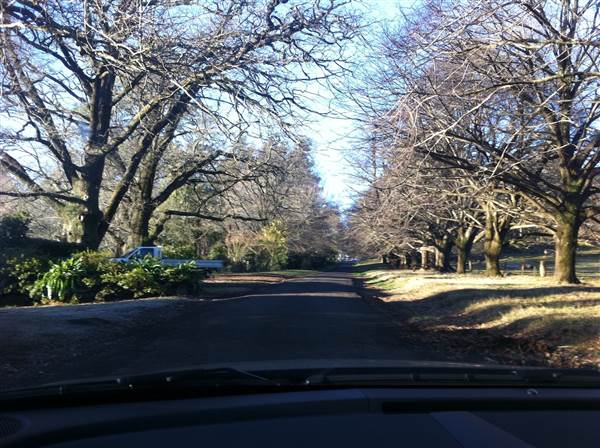 Mount Wilson Roads (24/02/2015 - Credits: Phillip Roope)