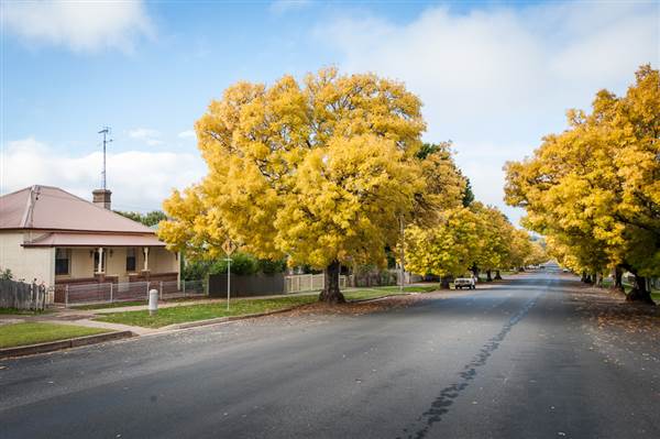 Crookwell (12/03/2015)