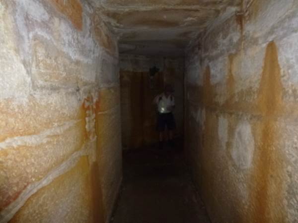 Middle Head Fortifications (13/03/2015)