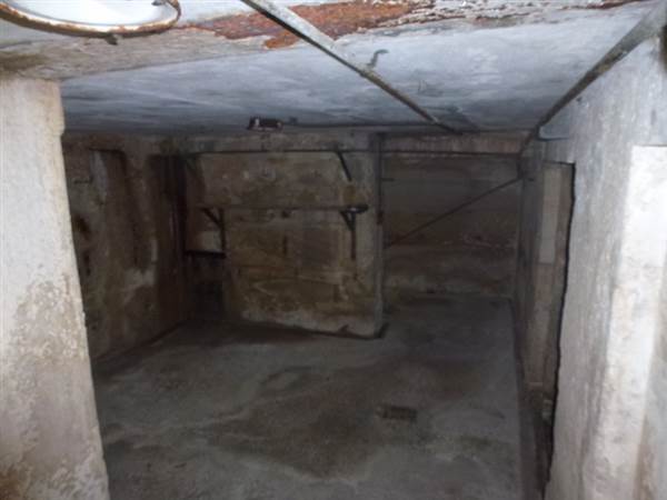 Middle Head Fortifications (13/03/2015)