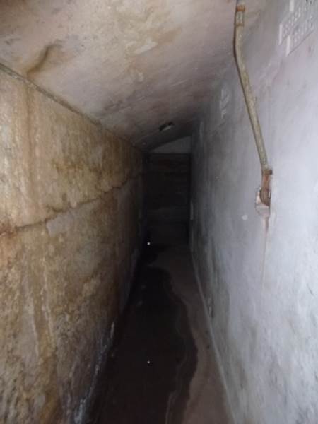 Middle Head Fortifications (13/03/2015)