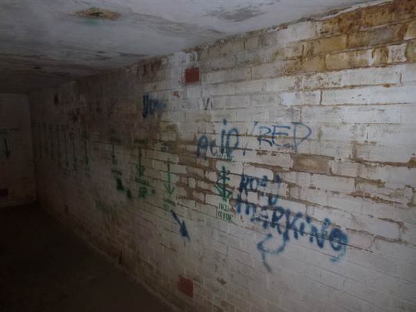 Middle Head Fortifications (13/03/2015)