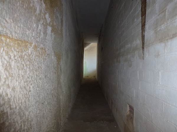 Middle Head Fortifications (13/03/2015)