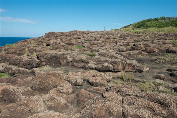 Bombo Headland Quarry (30/04/2015 - Credits: Colin McDougall)
