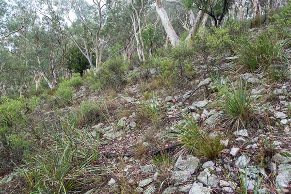 Goulburn Escarpment (30/04/2015 - Credits: Colin McDougall)