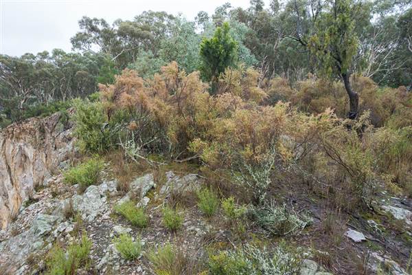 Goulburn Escarpment (30/04/2015 - Credits: Colin McDougall)