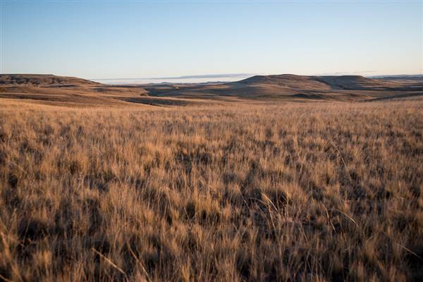 Monaro Plains (20/06/2015 - Credits: Colin McDougall)