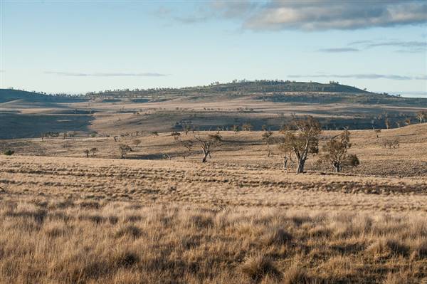 Monaro Plains (20/06/2015 - Credits: Colin McDougall)