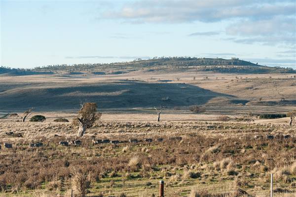 Monaro Plains (20/06/2015 - Credits: Colin McDougall)