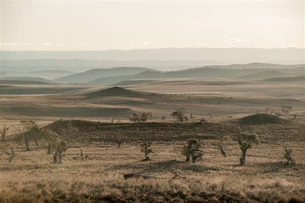 Monaro Plains (20/06/2015 - Credits: Colin McDougall)