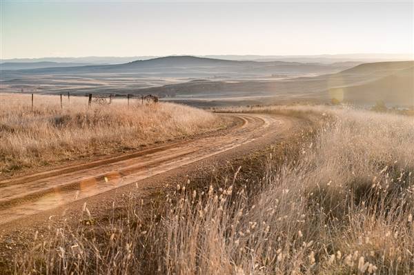 Monaro Plains (20/06/2015 - Credits: Colin McDougall)