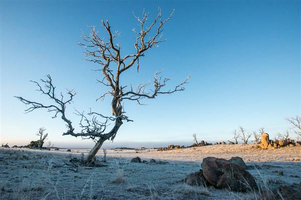 Monaro - Winter Frost (20/06/2015 - Credits: Colin McDougall)