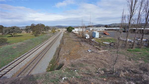 Cootamundra (3/08/2015 - Credits: Mary Barltrop)