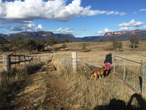 Snow Goose Farm - Glen Alice (8/11/2015)