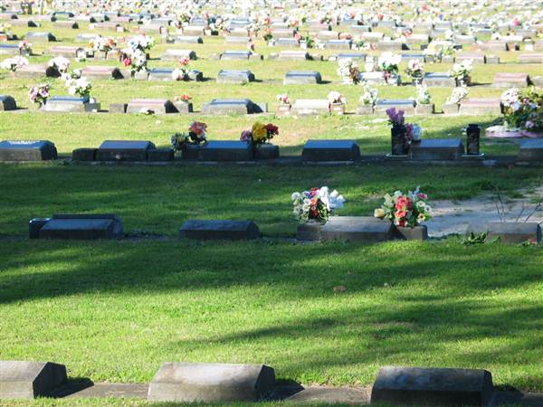 Botany Cemetery (21/08/2015 2:57:07 AM)