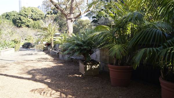 Lion Gate Lodge - Royal Botanic Garden Sydney (13/08/2015 - Credits: Shannon Wheeler)