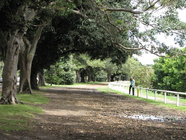 Centennial Park (24/02/2015 - Credits: Phillip Roope)