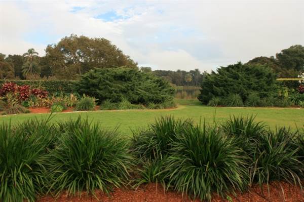 Centennial Park (28/11/2013)