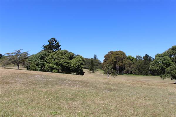 Centennial Park - Loch Ave South (24/10/2014)