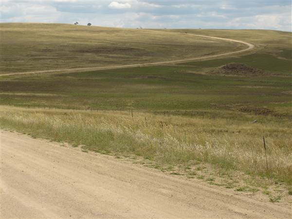 Monaro Plains - Summer (1/02/2005 - Credits: Colin McDougall)
