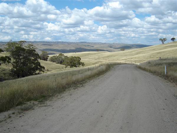 Monaro Plains - Summer (1/02/2005 - Credits: Colin McDougall)