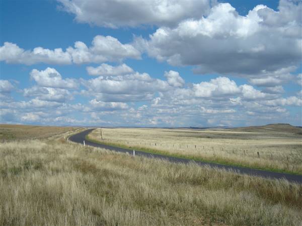 Monaro Plains (1/02/2005 - Credits: Colin McDougall)