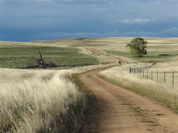 Monaro Plains (1/02/2005 - Credits: Colin McDougall)