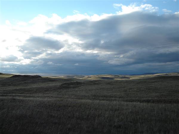 Monaro Plains (1/02/2005 - Credits: Colin McDougall)