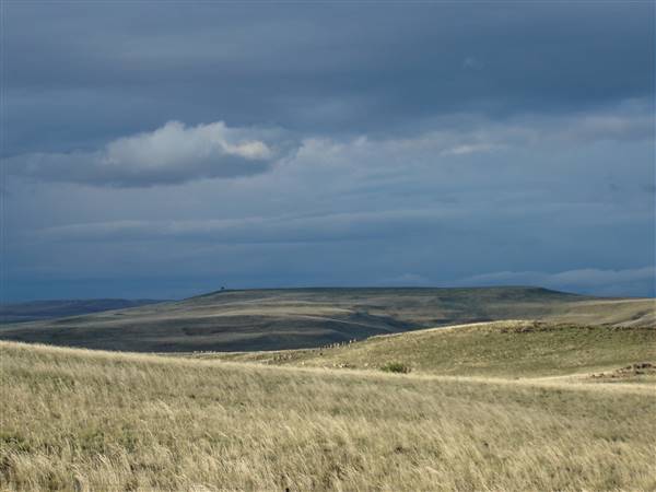 Monaro Plains (1/02/2014 - Credits: Colin McDougall)