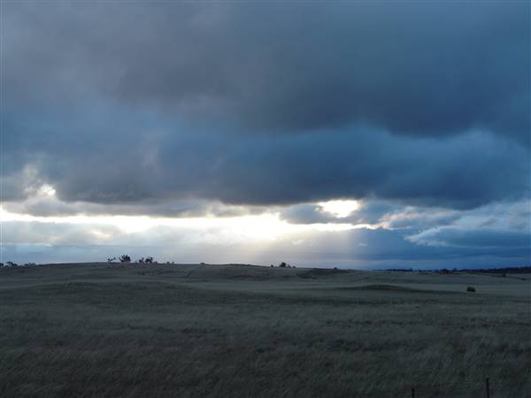 Monaro Plains (1/02/2014 - Credits: Colin McDougall)