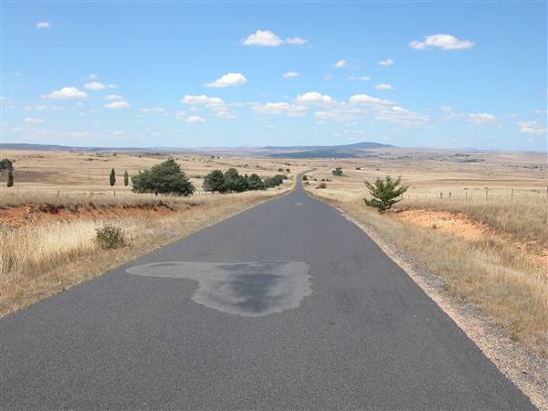 Monaro Plains (1/02/2014 - Credits: Colin McDougall)