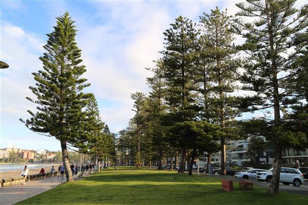 Manly Beach (22/09/2015 - Credits: Andrew Nadkarni)