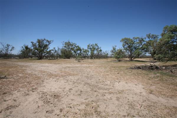 Bindara Station on the Darling - Period Homestead & Outbuildings (20/11/2015)