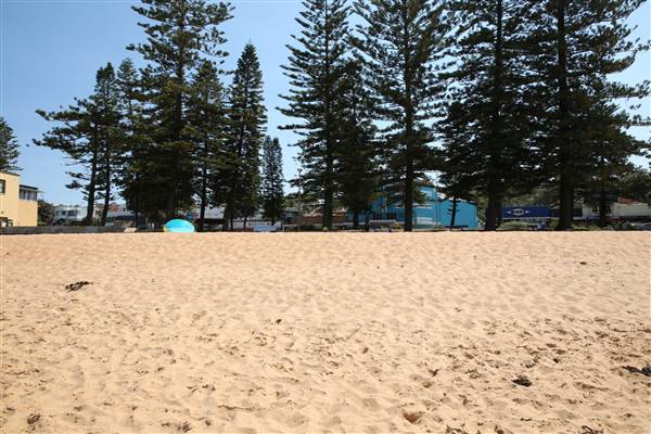 Collaroy Beach (20/11/2015)