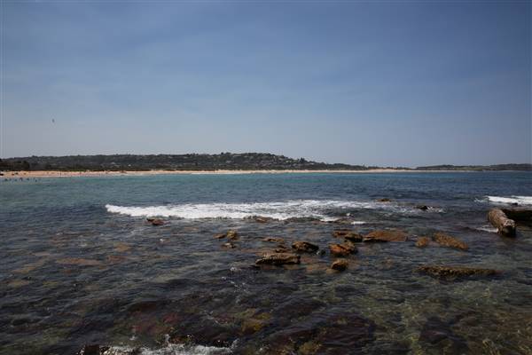 Dee Why Beach and Surrounds (20/11/2015 - Credits: Lisa Scope)