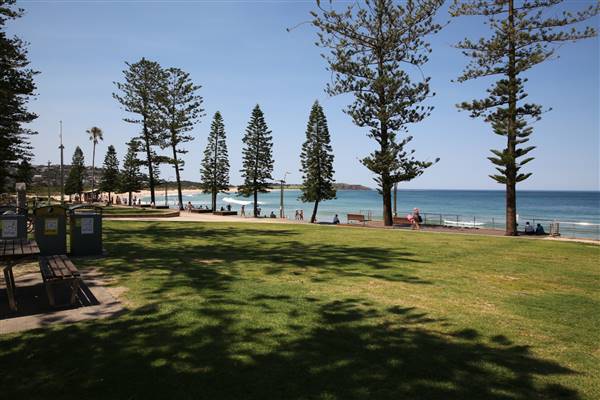 Dee Why Beach and Surrounds (20/11/2015 - Credits: Lisa Scope)
