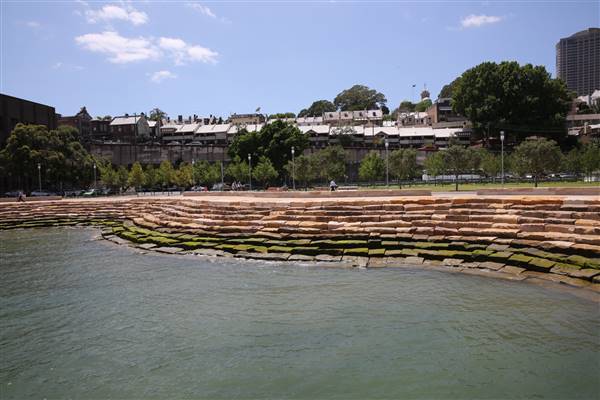 Barangaroo Reserve (25/11/2015)