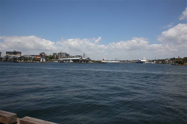 Barangaroo Reserve (25/11/2015)