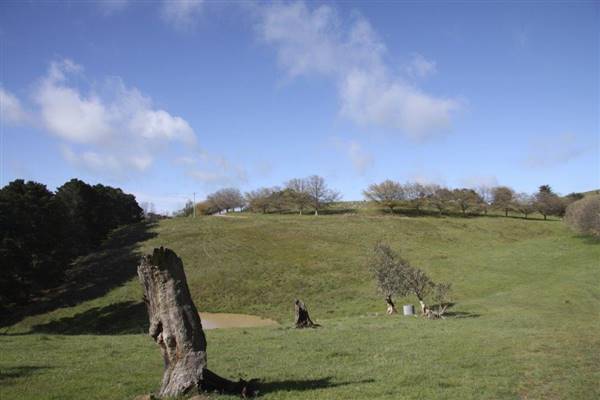 Private House - Crookwell (5/02/2016)