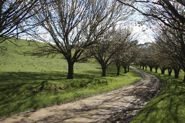 Private House - Crookwell (5/02/2016)
