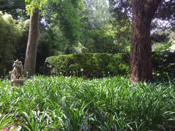 The Ridge at Bowral (18/12/2015)