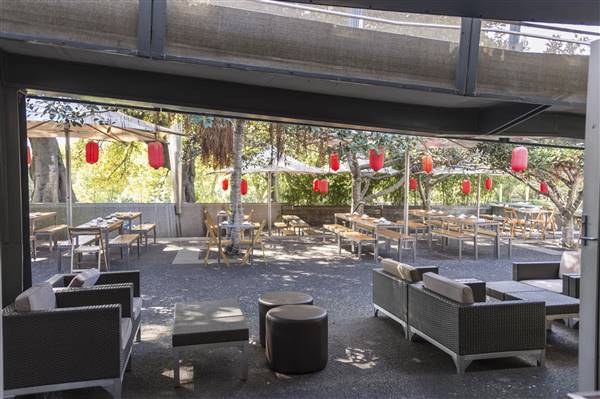 Bodhi Restaurant + Bar (5/03/2016)