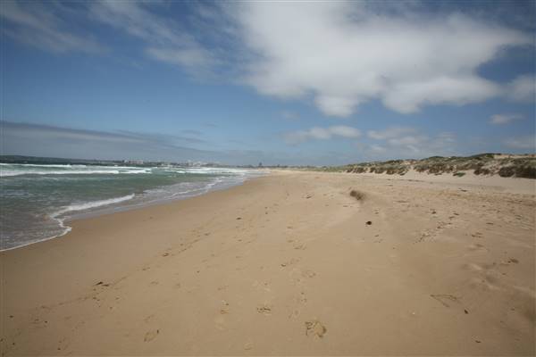 Cronulla Beach North End (Greenhills) (15/03/2016)