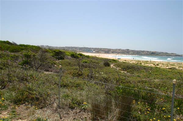 South Maroubra Beach (2/02/2006 - Credits: Lisa Scope)