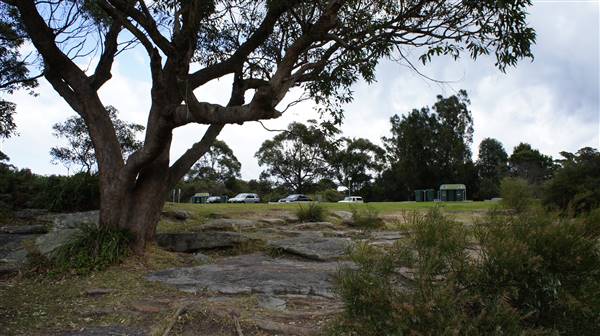 Wattamolla Beach (1/07/2016 - Credits: Mary Barltrop)