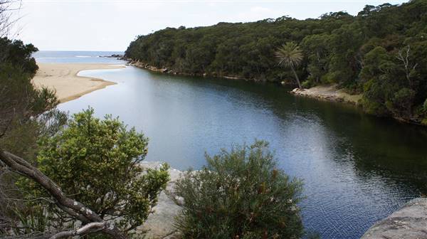 Wattamolla Beach (1/07/2016 - Credits: Mary Barltrop)